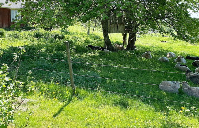 4 Person Holiday Home in Anneby-by Traum - Foto 30