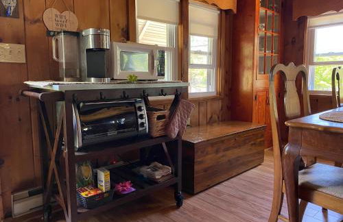 Adirondack Waterfront Cabin Upper Hudson Tributary - Foto 44