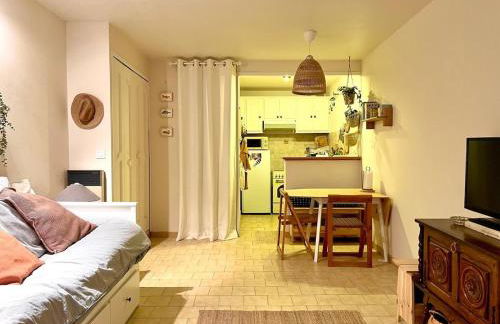 Beautiful studio terrace with Esparron lake view 4 people - Foto 12