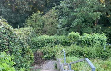 In Saarbrücken Stadtnahe gemütliche Wohnung am Deutsch-Französischen Garten - Foto 33