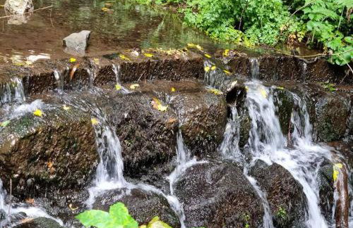 Seaview cottage North Wales - Foto 39