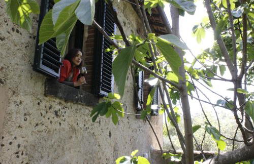 Poggio Roseto - Foto 40