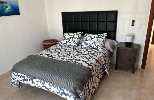 White House - Foto 5