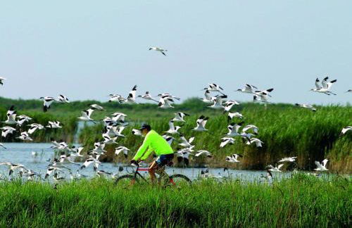 SIT Holiday Homes - Foto 17