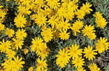 Agriturismo Il Poggio - Foto 40