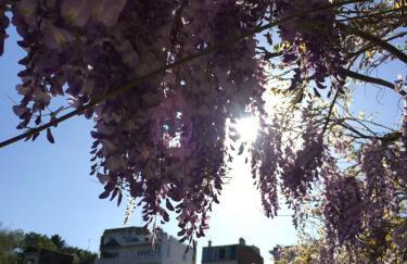 Montmartre en rez-de-jardin - Foto 39