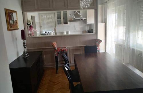 Holiday Home Dugo Selo M&A - Five Bedroom Holiday Home with Terrace - Foto 7