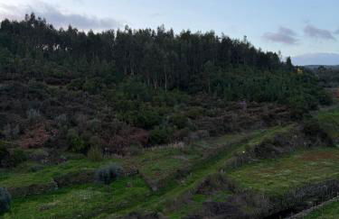 Casa da Ribeirinha - Foto 61