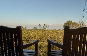 Hotel São Gotardo - Photo 56