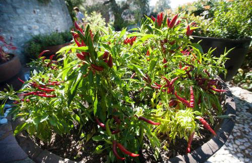 Felicin - Palazzo Boeri Panoramic Suites - Foto 39