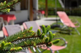 Residence Barbara - Foto 5