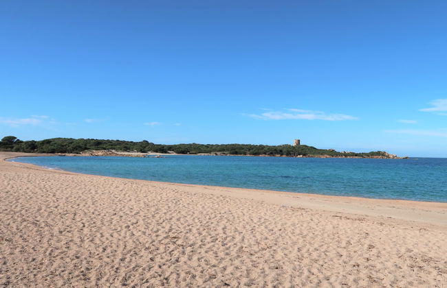 Contraruia - Foto 29