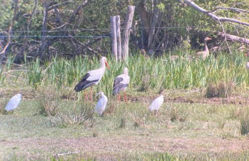 ESCAPADE EN BAIE 3étoiles - Foto 15