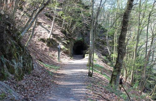 fewogriebelschied - Foto 66