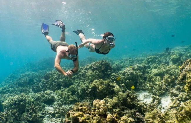 Big Island Snorkel Tour - Foto 5