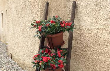 Il Bosso del Lago - Foto 14