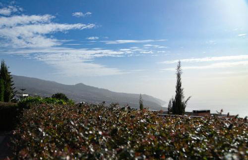 Villa Eden Sky in Prazeres - Foto 39