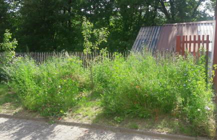 Ferienwohnung Ullrich im Spessart - Foto 35