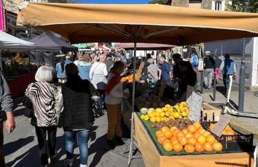 Studio Le Calypso les pieds dans l'eau 10 m mer - Foto 16
