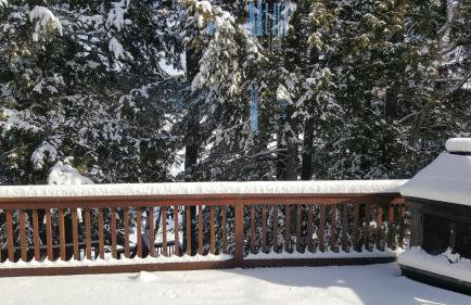 The Pine River Pond Premier Lakehouse 4BR High-End Retreat - Foto 15