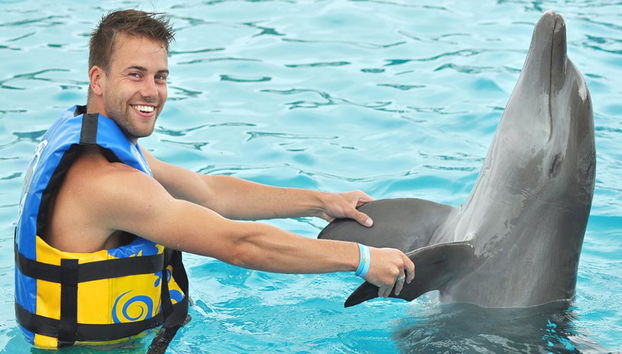 Delfin-Begegnung am Maroma Beach - Foto 3