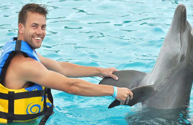 Delfin-Begegnung am Maroma Beach - Foto 3