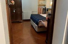 Monte do Rei Santo - Foto 39