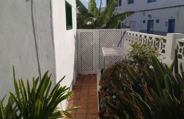 Caracola azul - Foto 13