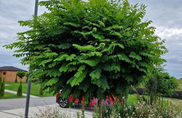 Apartamenty Szepty Mazur - Foto 59