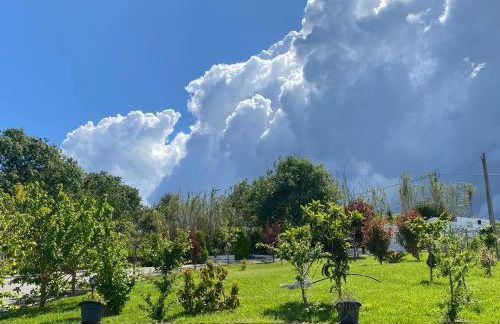 Alto do Moinho - Foto 15