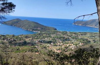 Casa vacanze il Pastore Tedesco - Foto 45