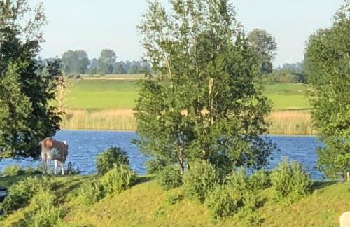 Ferienwohnung Eiderblick - Photo 14