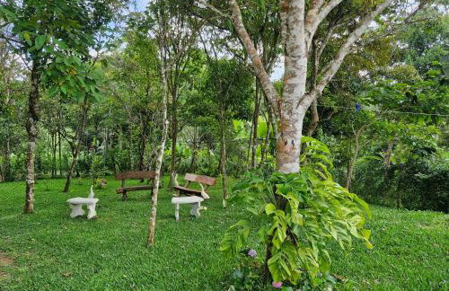 Recanto da Felicidade - Foto 46