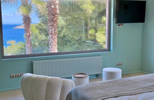 Blue Angel Villa Luxury Seafront Estate - Foto 19
