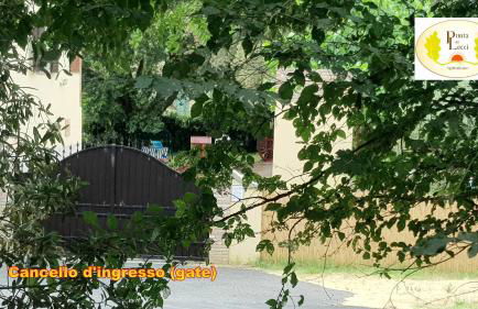 Punta dei Lecci - Foto 16