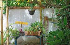 Casa da Flor - Photo 17