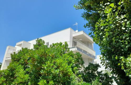 Ca' Savio terramare - Foto 27