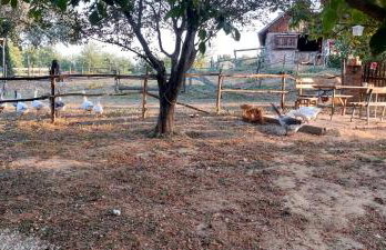 Farmica, Bed&Breakfast, Bazen izdvojen nekoliko minuta hoda - Foto 26