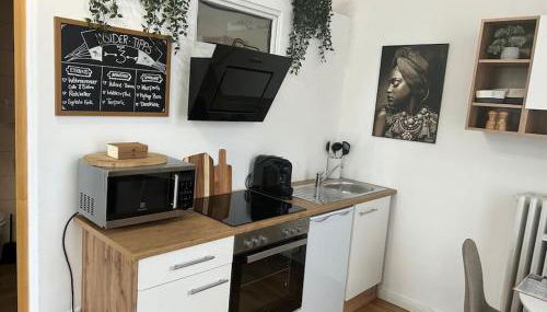 STAY Studio 2 Villa Mercedes Balkon Zentrum Parkplatz - Foto 2, stove, pet friendly