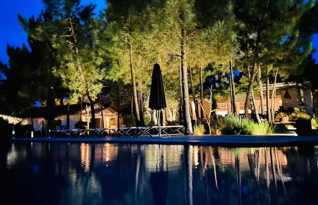 Cabana Lavanda Comporta by Boutique - Foto 50