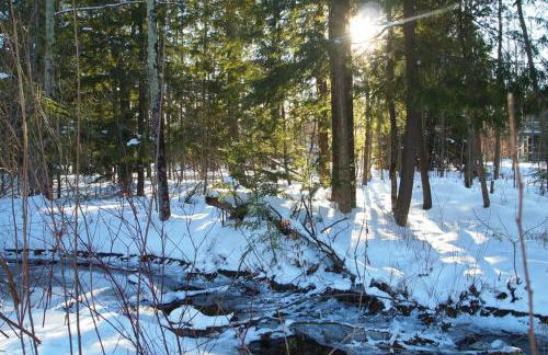 Wintergreen Condo, Unit 540 - Foto 34