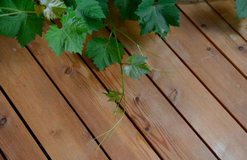 Apartments Mitterhof 1544 - Foto 46