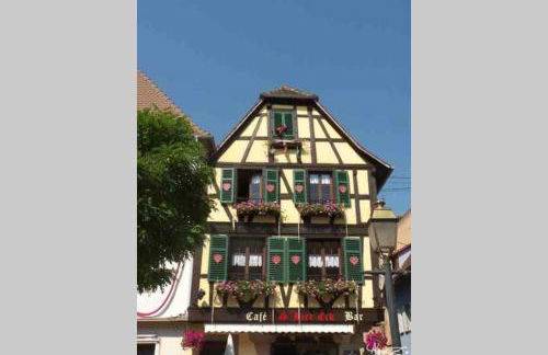 Coeur Alsace - Foto 35