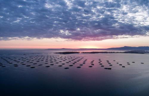 Paradise Cambados - Foto 47