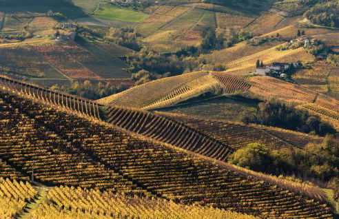 Awesome Home In Loazzolo With Wifi - Foto 35