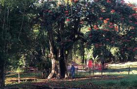 Vivenda dos Guaranys -Um projeto ecológico - Casa - Foto 14