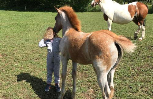 Gîtes Belle Vue - Photo 44