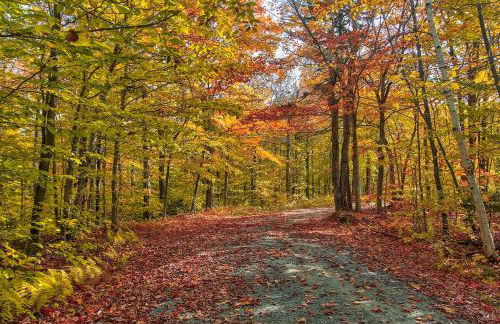 New Cozy Private Chalet Incredible Mountain Views! - Foto 43