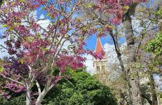 Trogir holiday house - Photo 62