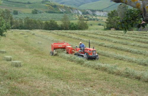 Agriturismo Collomici - Foto 71